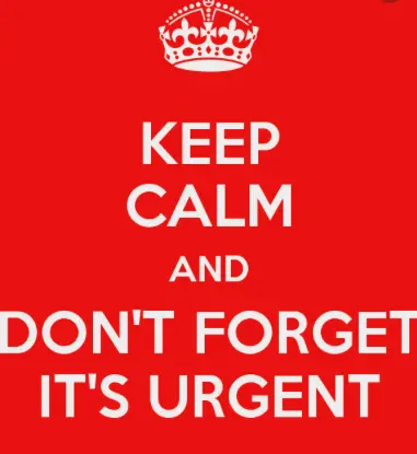 urgent musician needed crazy horse entertainment